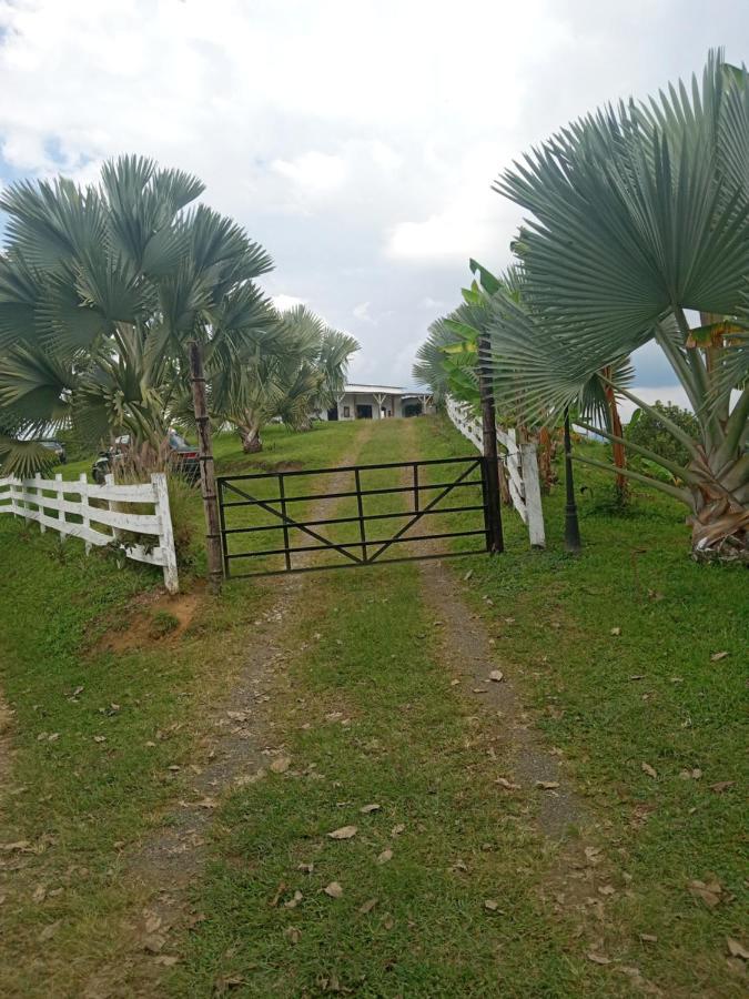佩雷拉Rancho De Juancho别墅 外观 照片